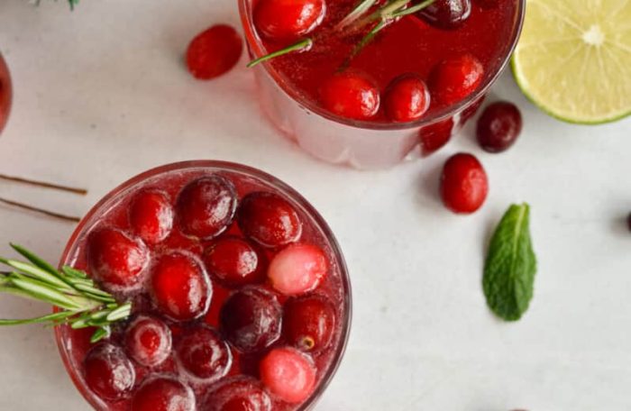 Peppermint Cranberry Moscow Mule